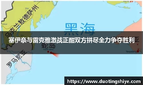 塞伊奈与雷克雅激战正酣双方拼尽全力争夺胜利
